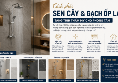Cách Phối Sen Cây Và Gạch Ốp Lát Tăng Tính Thẩm Mỹ